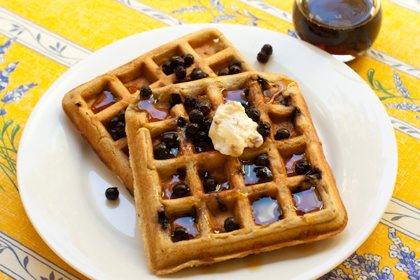 Blueberry Oat Waffles Vegan Glutenfree
