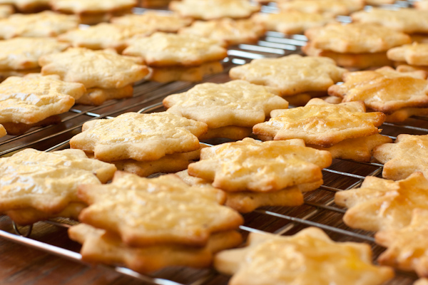 German Anise Cookies German Anise Cookies