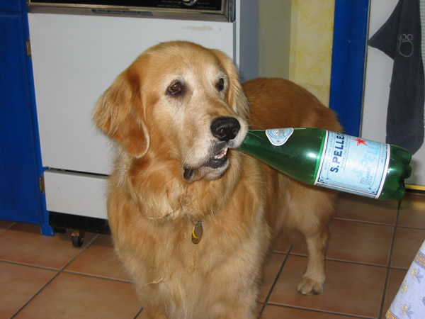 Pellegrino water bottle