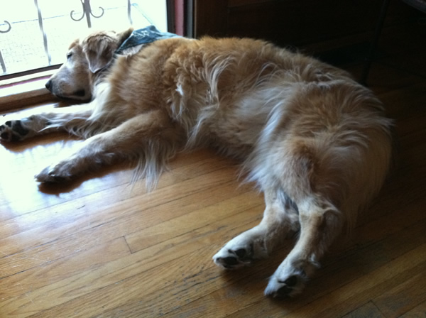 Tuckered Out