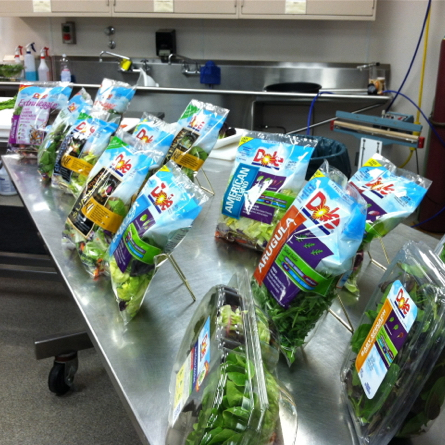 Dole Salad tour