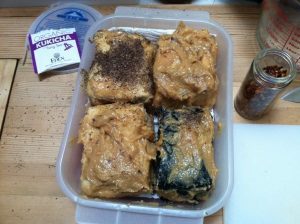 Blocks of tofu in miso-marinade, before aging.