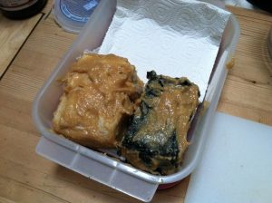 Two tofu blocks slathered in marinade