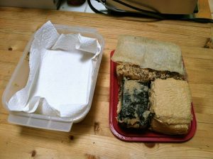 Tofu misozuke after one week, with new dry paper towels.