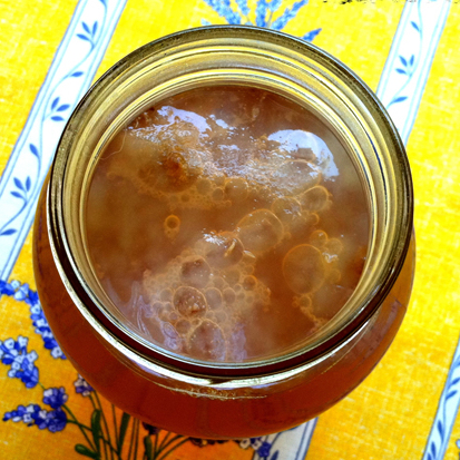 How to make kombucha