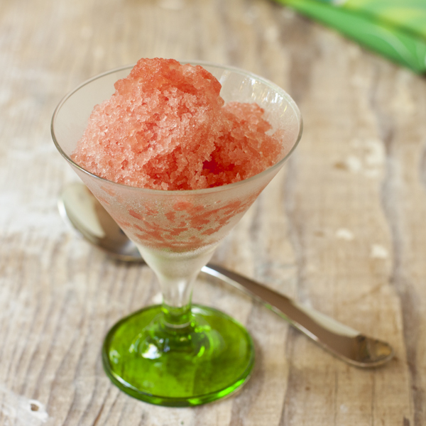 Watermelon granita