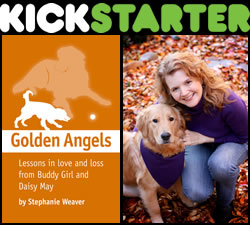 Kickstarter campaign