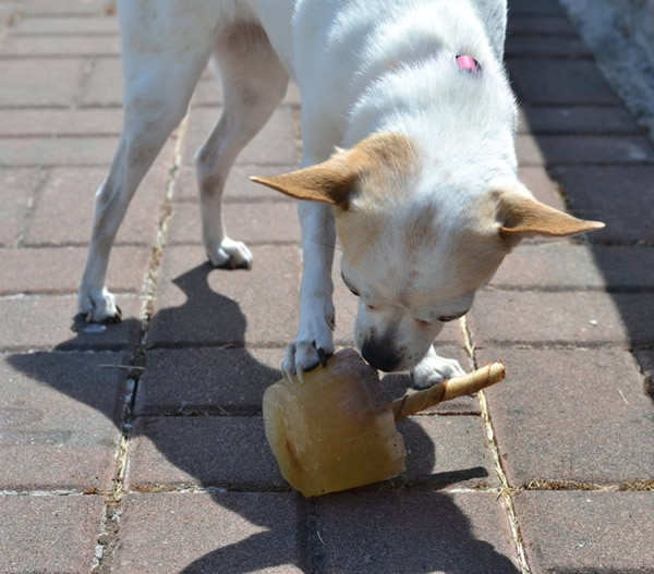 Doggy pupsicles from Wok And Skillet