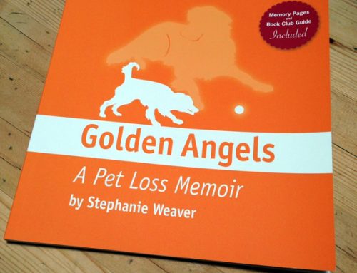 Golden Angels now available on Amazon for pre-orders!