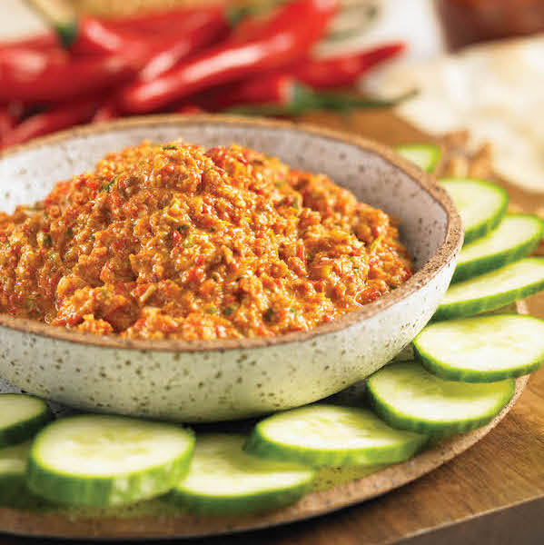 Middle Eastern walnut dip from The Chile Pepper Bible by Judith Finlayson