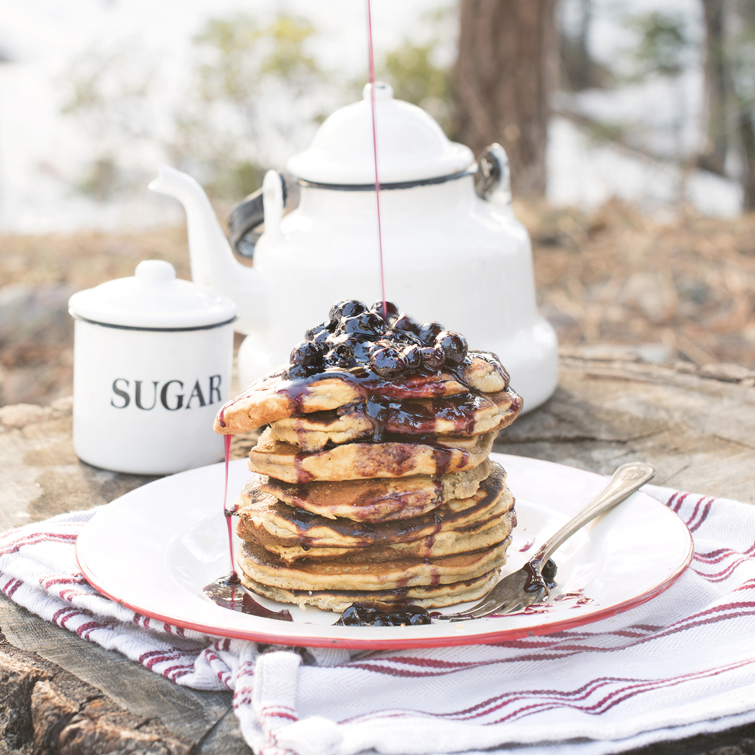 Iron Man Protein Pancakes with blueberry syrup from The Camp & Cabin Cookbook by Laura Bashar