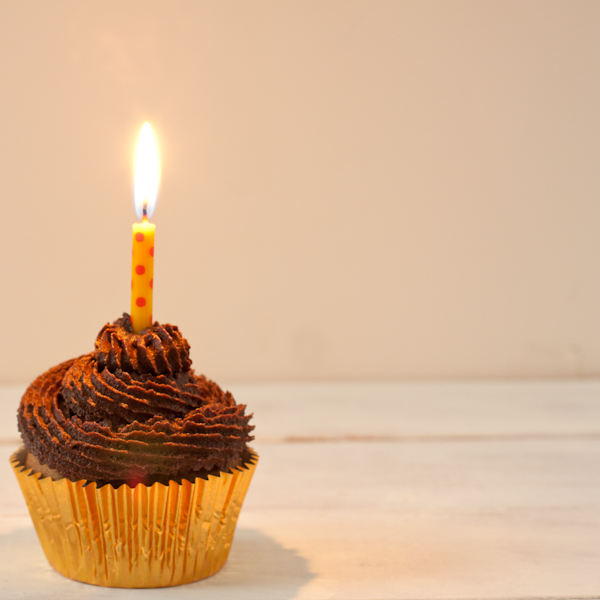 Vanilla cupcake with fudgy frosting
